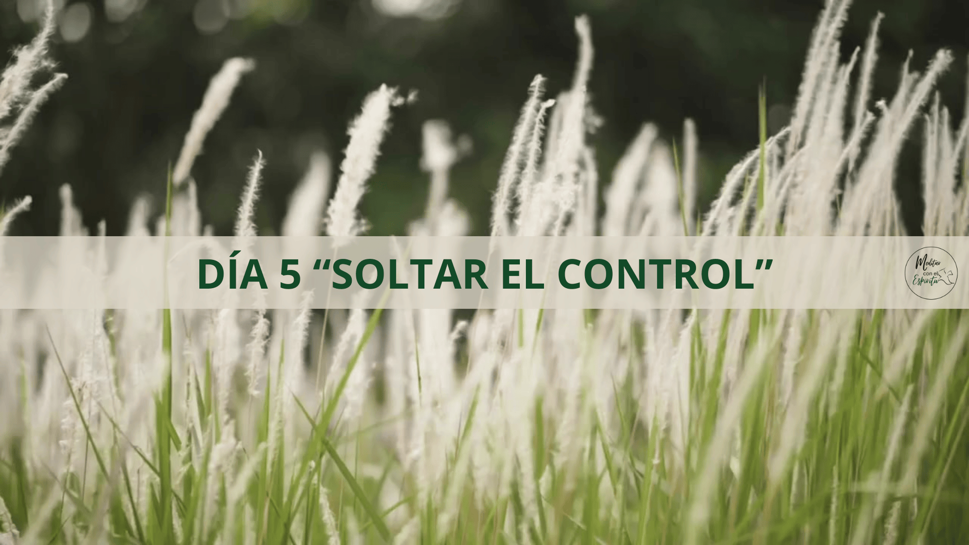 DÍA 5. SOLTAR EL CONTROL