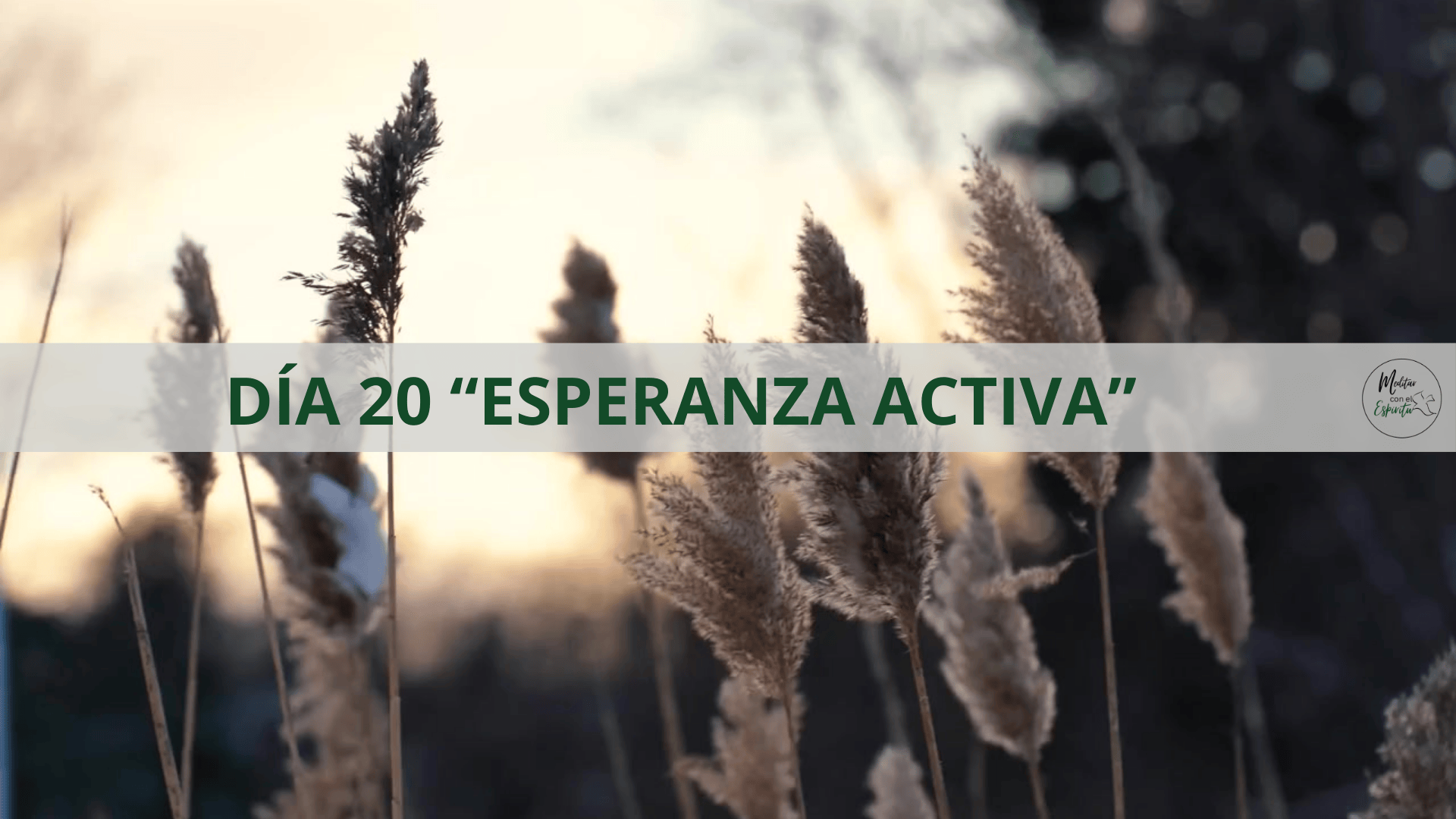 DÍA 20 ESPERANZA ACTIVA